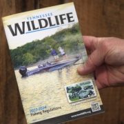 hand holding a booklet with a boat and someone fishing featured on the cover